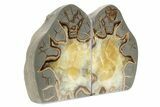 Crystal Filled Septarian Geode Bookends - Utah #231080-2